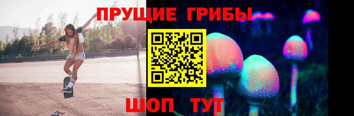 Знаменск  Псилоцибиновые грибы мицелий  Вход с VPN 